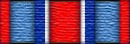 AoW Medal CIA.png
