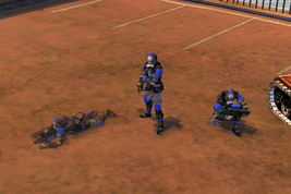 HT Ingame FFW