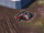 DA Ingame RailgunTurret.png