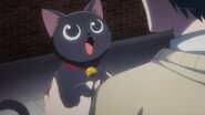 The black cat telling Satsuma the culprit is someone Ryo knows