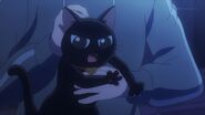 The black cat scratching Konishi