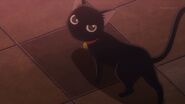 The black cat telling Ryo I saw him around here
