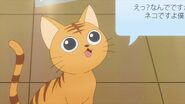 Minori as a cat telling Chiguma I guess you're right