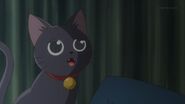 The black cat feeling bad for Ryo