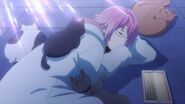 Uta sleeping with cats and dogs