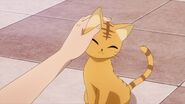 Minori as a cat being petted by Ryo