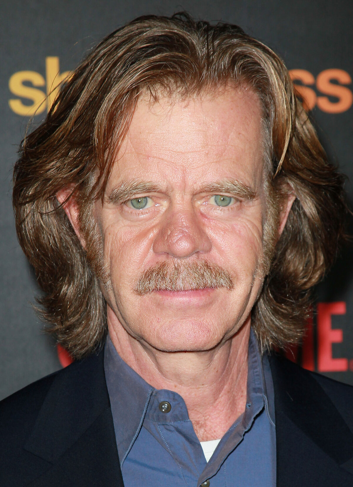 William H. Macy Actors Wiki Fandom