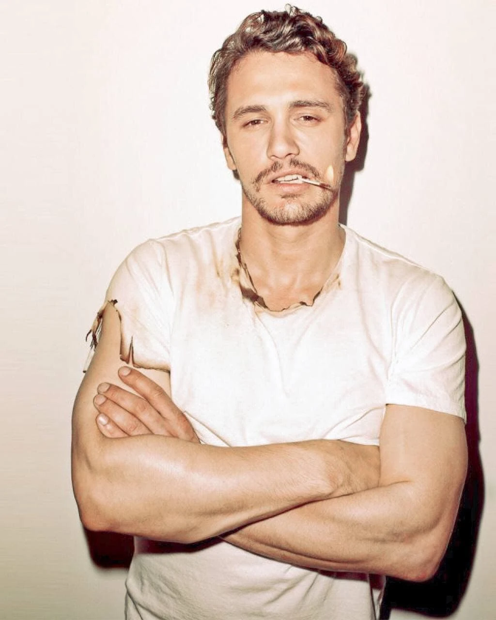James Franco Wiki ActorsWiki Fandom