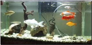 Ayúdanos a informar.