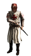 Danish Master Templar