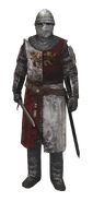 Male Templars (soldiers)