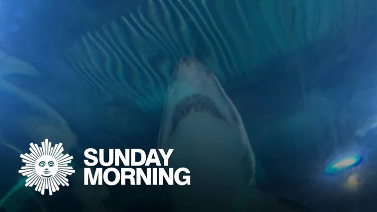 From the archives: The infamous 1916 shark attacks that inspired "Jaws"