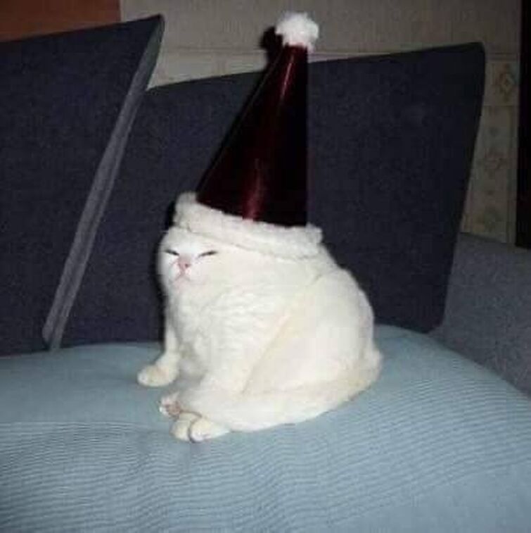 Ава на новый год с котом мем