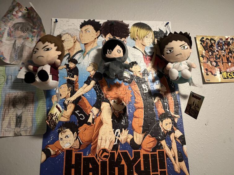 Fandom Image