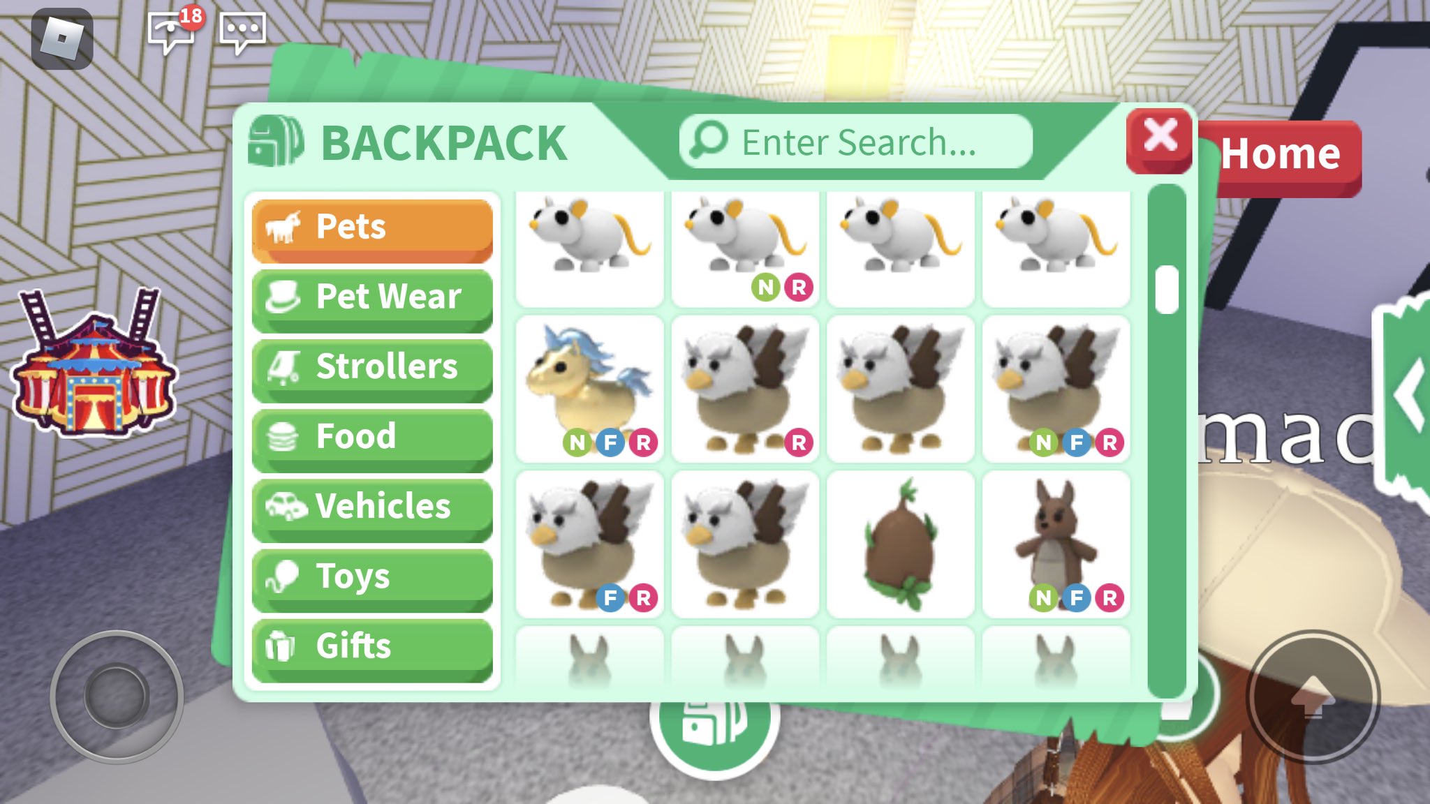 Rich Persons Adoptme Pets Inventory