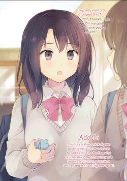 Adachi and Shimamura vol. 4 by Hitomi Iruma / NEW Yuri novel