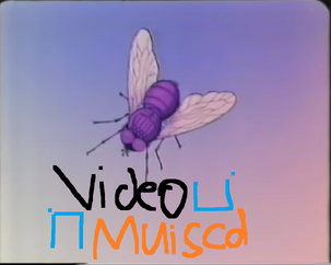 Video Muisca.png