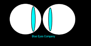 New Blue Eyes Logo.png
