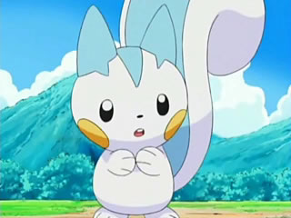 Dawn's Pachirisu - Bulbapedia, the community-driven Pokémon