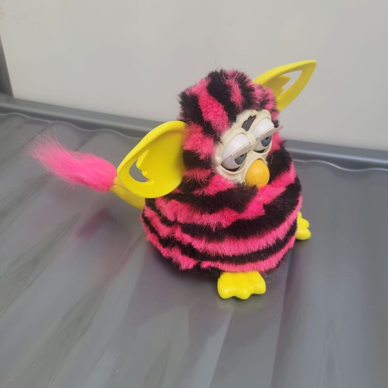 Fandom Image