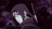 SakTheMeowGod's avatar