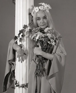 1964