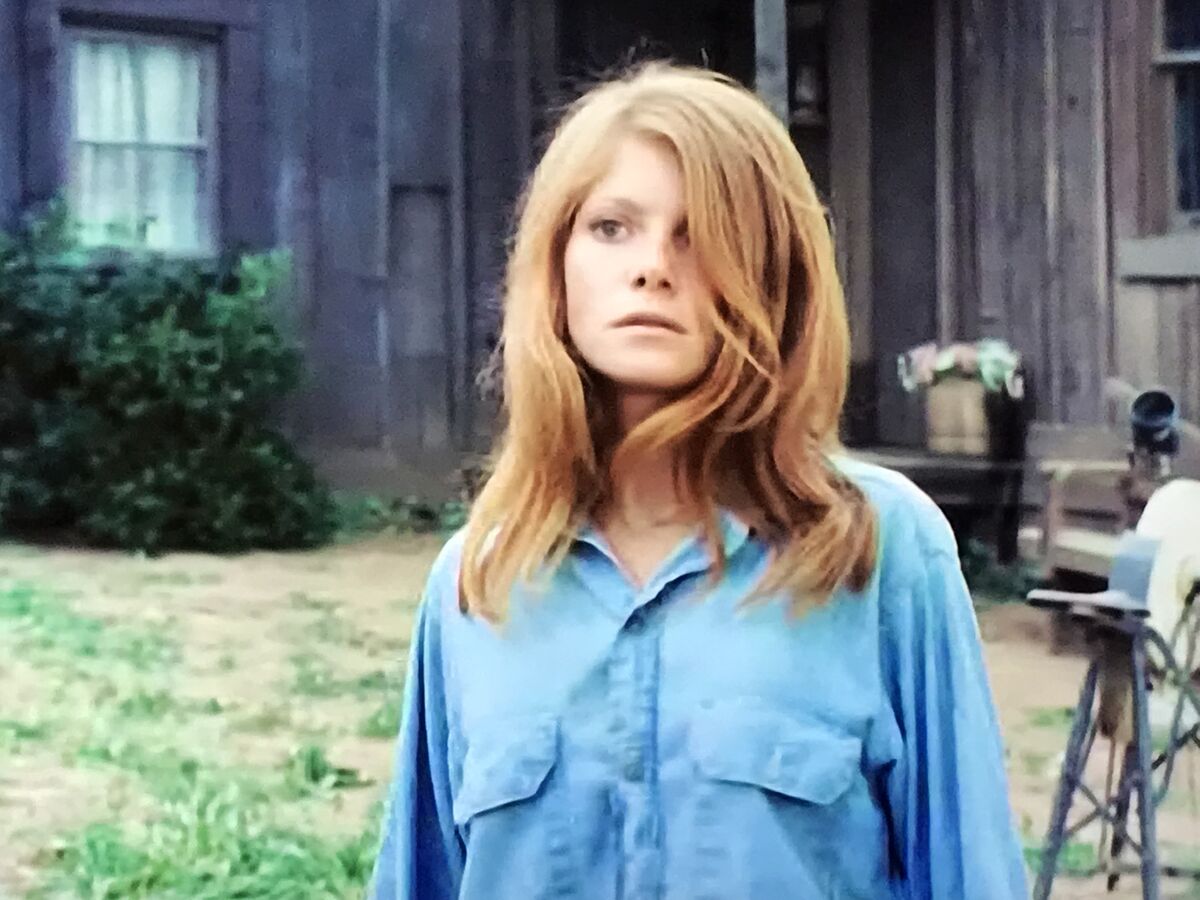 Pam McMyler Addams Family Wiki Fandom