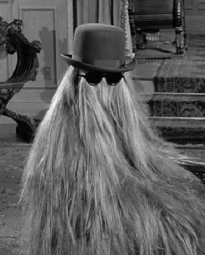 Cousin Itt Addams Family Wiki Fandom