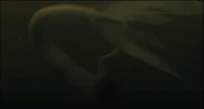 Kent after getting punched by Thing in siren form.