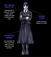 Wednesday costume design