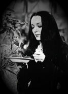 Feeding Cleopatra (Carolyn Jones) - The Original Addams Family Series