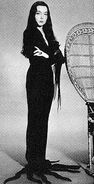 (Carolyn Jones) - The Original Addams Family Series