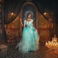 Bianca's masquerade ball outfit