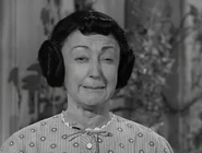 The Original Addams Family series