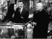 The Original Addams Family Series