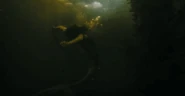 Kent caught in a net