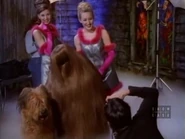 49. Cousin Itt's Problem 091.jpg (25 KB)