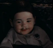 Pubert Addams (14 KB) Pubert Addams