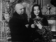 34.The.Winning.of.Morticia.Addams 020.jpg (44 KB)