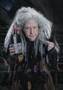 J1.jpg (244 KB) Grandmama Addams or Granny Frump