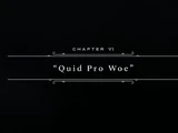 Chapter VI: Quid Pro Woe