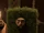 Weaselhead