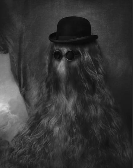 Cousin Itt - Wikipedia