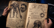 Illustrations of Hydes in Nathaniel Faulkner's diary