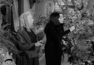 Af cleo helper.jpg (505 KB) Feeding Cleopatra