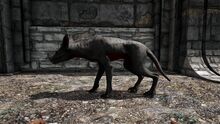 346110 screenshots 20181004172623 1.jpg