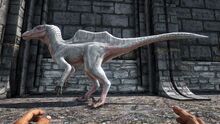 346110 screenshots 20190602223728 1.jpg