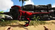 346110 screenshots 20180904150208 1.jpg