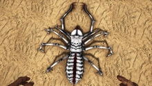 Dreadweaver3.png