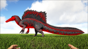 0agspino.png